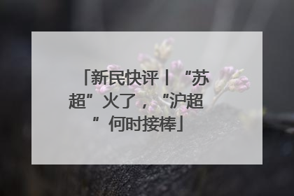 新民快评丨“苏超”火了，“沪超”何时接棒