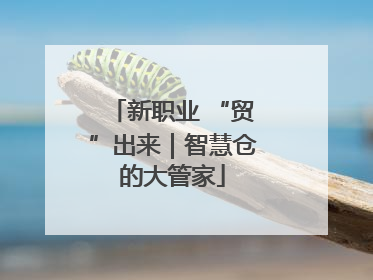 新职业 “贸”出来｜智慧仓的大管家