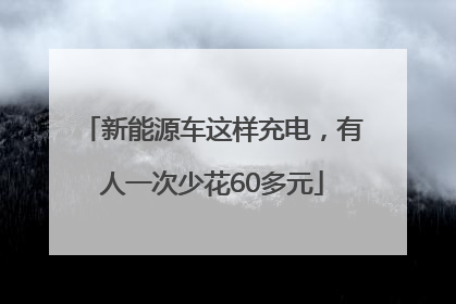 新能源车这样充电，有人一次少花60多元