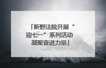 新野法院开展“迎七一”系列活动 凝聚奋进力量