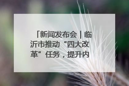新闻发布会｜临沂市推动“四大改革”任务，提升内部审计监督效能