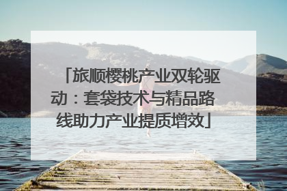 旅顺樱桃产业双轮驱动：套袋技术与精品路线助力产业提质增效