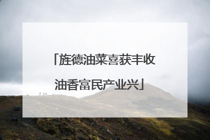 旌德油菜喜获丰收 油香富民产业兴