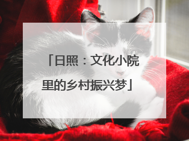 日照：文化小院里的乡村振兴梦