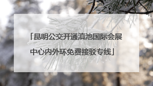 昆明公交开通滇池国际会展中心内外环免费接驳专线