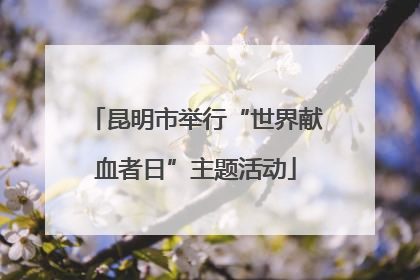 昆明市举行“世界献血者日”主题活动