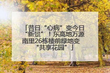 昔日“心病”变今日“新景”！东高地万源南里26栋楼前绿地变“共享花园”