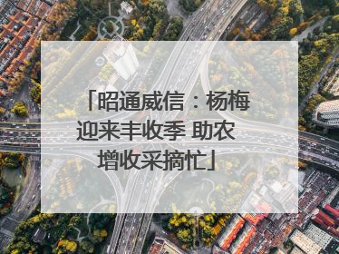 昭通威信：杨梅迎来丰收季 助农增收采摘忙