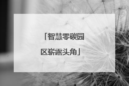 智慧零碳园区崭露头角