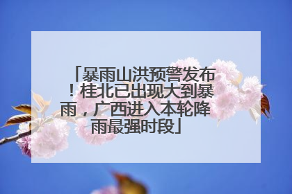 暴雨山洪预警发布！桂北已出现大到暴雨，广西进入本轮降雨最强时段