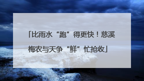 比雨水“跑”得更快！慈溪梅农与天争“鲜”忙抢收