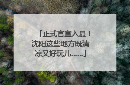 正式官宣入夏！沈阳这些地方既清凉又好玩儿……