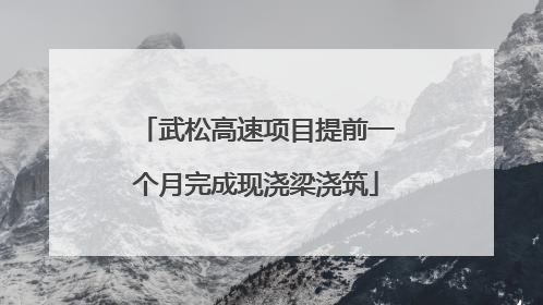 武松高速项目提前一个月完成现浇梁浇筑