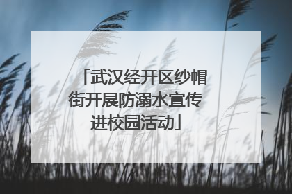 武汉经开区纱帽街开展防溺水宣传进校园活动