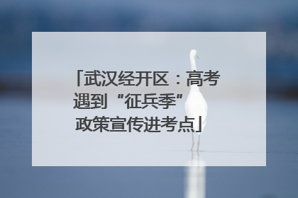 武汉经开区：高考遇到“征兵季”  政策宣传进考点