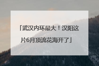 武汉内环最大！汉阳这片6月顶流花海开了