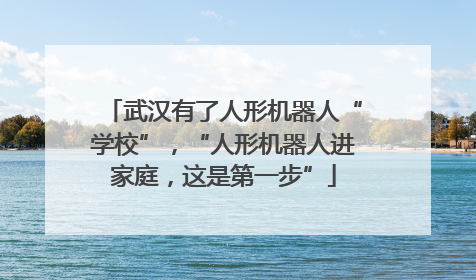 武汉有了人形机器人“学校”，“人形机器人进家庭，这是第一步”