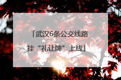 武汉6条公交线路挂“礼让牌”上线