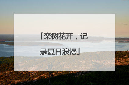 栾树花开，记录夏日浪漫