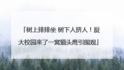 树上排排坐 树下人挤人！厦大校园来了一窝猫头鹰引围观