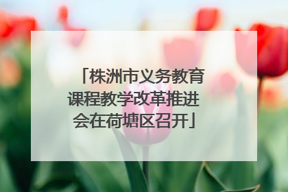 株洲市义务教育课程教学改革推进会在荷塘区召开