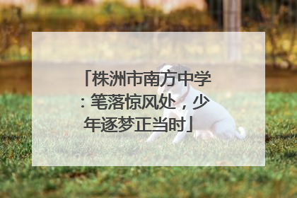 株洲市南方中学：笔落惊风处，少年逐梦正当时