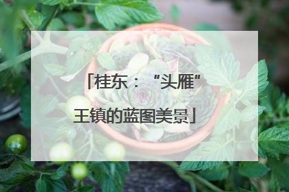 桂东：“头雁”王镇的蓝图美景