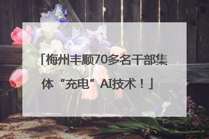 梅州丰顺70多名干部集体“充电”AI技术！