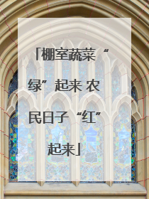棚室蔬菜“绿”起来 农民日子“红”起来
