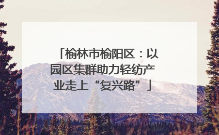榆林市榆阳区：以园区集群助力轻纺产业走上“复兴路”
