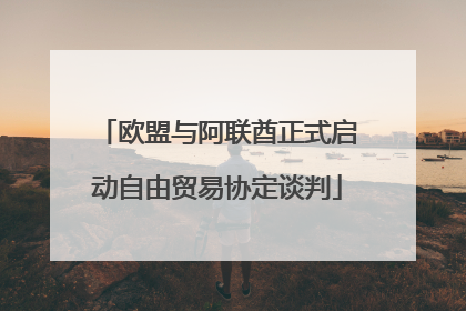 欧盟与阿联酋正式启动自由贸易协定谈判