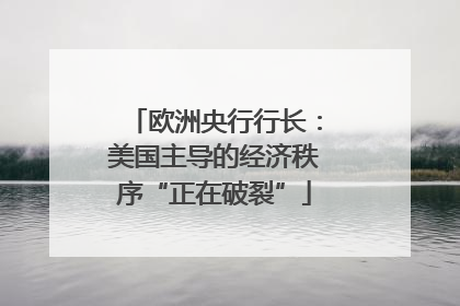 欧洲央行行长：美国主导的经济秩序“正在破裂”