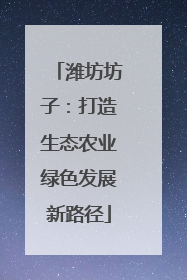 潍坊坊子：打造生态农业绿色发展新路径