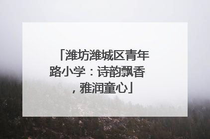 潍坊潍城区青年路小学：诗韵飘香，雅润童心