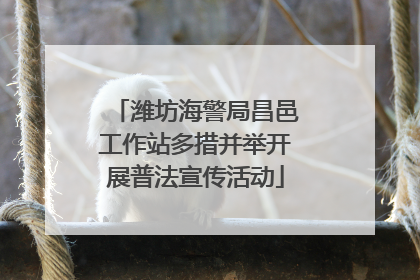 潍坊海警局昌邑工作站多措并举开展普法宣传活动