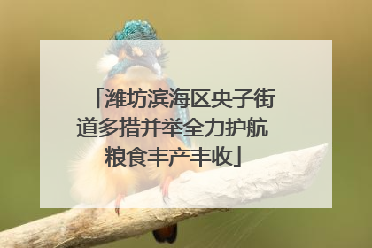 潍坊滨海区央子街道多措并举全力护航粮食丰产丰收