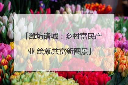 潍坊诸城：乡村富民产业 绘就共富新图景