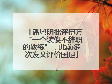 潘粤明批评伊万“一个装傻不辞职的教练”，此前多次发文评价国足