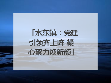 水东镇：党建引领齐上阵 凝心聚力焕新颜