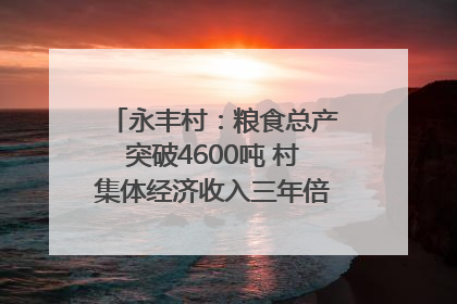 永丰村：粮食总产突破4600吨 村集体经济收入三年倍增｜牵挂的村