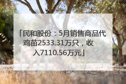 民和股份：5月销售商品代鸡苗2533.31万只，收入7110.56万元