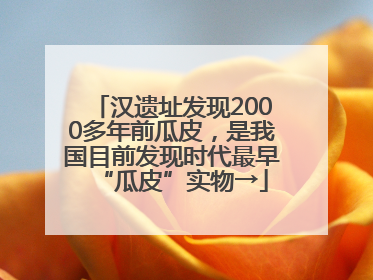 汉遗址发现2000多年前瓜皮，是我国目前发现时代最早“瓜皮”实物→