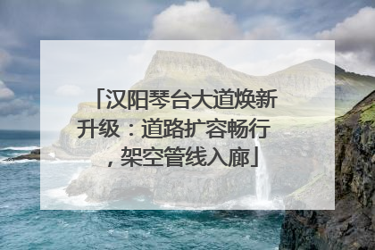 汉阳琴台大道焕新升级：道路扩容畅行，架空管线入廊