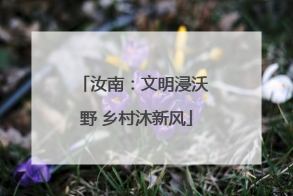汝南：文明浸沃野 乡村沐新风