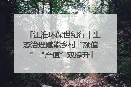 江淮环保世纪行｜生态治理赋能乡村“颜值”“产值”双提升
