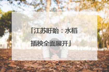 江苏盱眙：水稻插秧全面展开