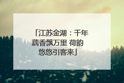 江苏金湖：千年藕香飘万里 荷韵悠悠引客来