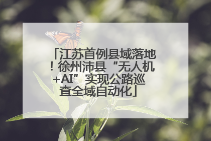 江苏首例县域落地！徐州沛县“无人机+AI”实现公路巡查全域自动化