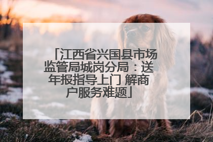 江西省兴国县市场监管局城岗分局：送年报指导上门 解商户服务难题