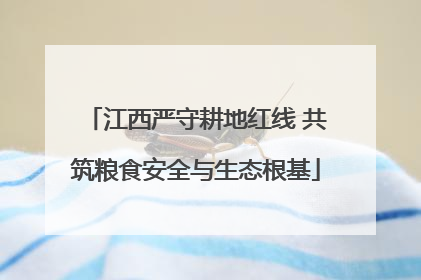 江西严守耕地红线 共筑粮食安全与生态根基